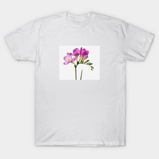 Freesias for my mother T-Shirt by Designs and Dreams